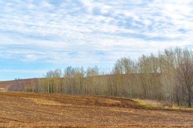 Toprağı gelecekteki ekinlerin büyümesi için hazırlayın. Tamamen sürülmüş bir tarla tohum ekmeye hazır. Bereketli topraklardan bereketli bir hasat alın..