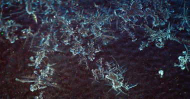 Dağınık. Boya üzerinde soğuk desenler var. Sanat, tecrübe üzerine kalıpların dayatılmasıdır, ve bizim estetik zevkimiz kalıbın tanınmasıdır..