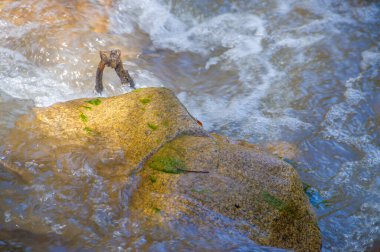 Doğanın sanatının güzelliğini büyüleyici bir dağ deresinde tecrübe edin. Kayaların arasından akan suya tanık olun. Göz kamaştırıcı bir görsel gösteri yaratıyor..