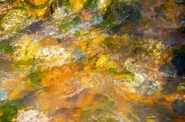 Kendini bir dağ deresinin el değmemiş ıssızlığına daldır. Ritmik dansın ve suyun rahatlatıcı seslerinin tadını çıkar. Her taşın karmaşık detaylarını ve doğal güzelliklerini keşfedin..