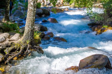 Kendinizi sükunete daldırın: Suyun rahatlatıcı sesinin gürültüden tamamen kaçmasını sağladığı bu resimsel dağ deresinin sükunetine daldırın