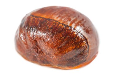 Kestanelerin basit zarafetini keşfet. İnanılmaz lezzet küçük bir fındıkta toplanmış. Temiz beyaz ambalaj kestanelerin güzelliğini gösteriyor..