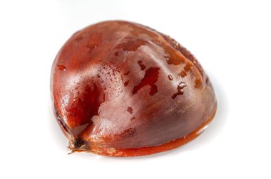 Odak noktası olarak kestane ağacının güzelliğinin tadını çıkar. Doğal tonları ve temiz beyaz arkaplanı olan zarif bir tasarım. Doğal basitliğin özünü yakalayın. Biraz ihtiyatlı ol..