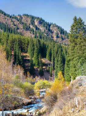 Tepeleri fethet ve sonbahar dağları arasındaki Tien Shan ladin ormanlarının el değmemiş güzelliğine dal! Doğa Kaşifleri Görkemli Dağlar