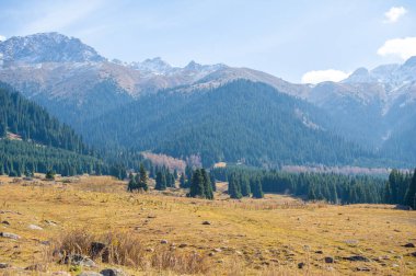 Kendini Tien Shan dağlarının dinginliğine bırak. Sonbahar yeşilliğinin ve canlı renklerin cazibesini hissedin. Bereketli yeşil çam ağaçlarının arasında sakin bir gezinti yap. Huzurun tadını çıkar.