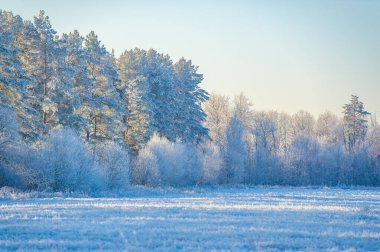 Sonsuz maceralarla dolu karlı bir alanı keşfet. Bırak parlak mavi gökyüzü sana heyecan verici bir deneyimde rehberlik etsin. Doğanın kar tanelerinin büyüleyici kucaklamasını tecrübe et..