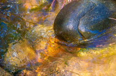 Kendini resim gibi bir derenin rahatlatıcı atmosferine daldır. Yosun kaplı kayaların üzerinden akan temiz su sakin bir ortam yaratır. Bırak rahatlatıcı sesler çıksın.