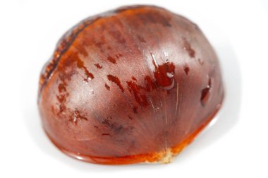 Kestane ağacının bu nefes kesici yakın çekimi ile basitliğin özünü keşfedin, minimalist ve dramatik bir ortamda doğanın tasarımının güzelliğini gösterin. Beslenme Temelleri