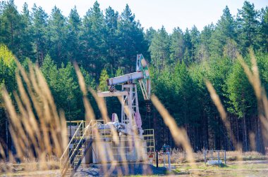 Doğal kaynakları elde etmek için rockçı kriko teknolojisini kullanın. Baharın başlarında ormanlık alanları keşfet. Rocker Jacks 'in orman ekosistemleri üzerindeki etkisini araştırın.