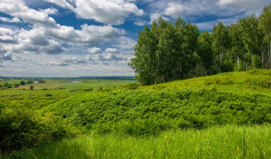 Yaz su çayırları, nehir taşkın ovaları, dağdan çekilmiş fotoğraflar. Nehrin kenarında yemyeşil çimenler, çam, huş ağacı, fındık ağacı yetişir. sıcak yaz günleri