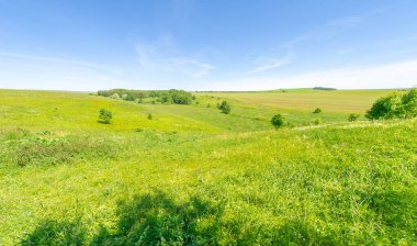 Yaz, çayır tarlaları, vadiler, çam ağaçları fındık ağacı, kır çiçekleri, dünyanın Avrupa bölgesi.