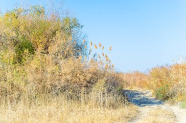 Uçsuz bucaksız ve pitoresk çayırlarda dolaşırken bu toprak yolun cazibesini içine çek. Kendini doğanın dokunulmamış güzelliğinin sadeliği ve sükunetine bırak..
