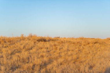 Kum tepelerinde sonbahar günbatımının büyüleyici güzelliğinin tadını çıkar. Kendini altın gökyüzünün büyülü atmosferine ve rüzgarın nazik fısıltısına daldır. Resimli manzaranın tadını çıkar.
