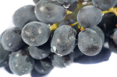 Üzüm, şarap yapımında anahtar bir bileşendir. Siyah üzümler kalın ve zengin lezzetleriyle bilinir. Beyaz arka planda siyah üzümlerin karşıtlığı zarif ve görsel olarak çekici bir görüntü yaratır..