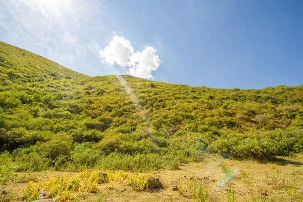 Nefes kesen kanyondaki doğanın huzur veren güzelliğinin tadını çıkar. Nehrin kayalık arazide nasıl zarifçe aktığına bakın. Kendini dağların kalbine daldır ve huzuru hisset..