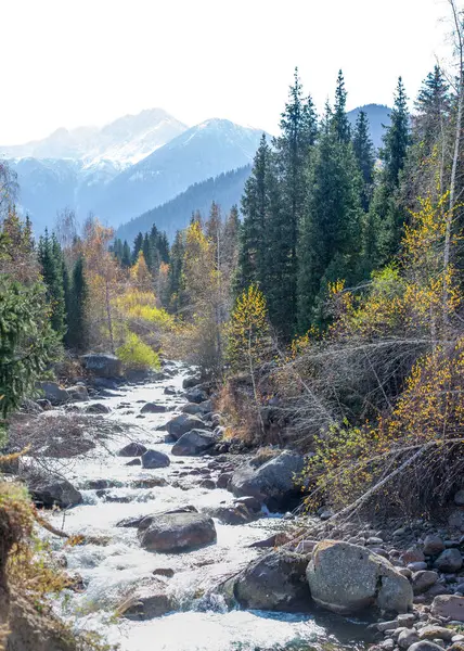 Tien Shan Dağları 'nın görkemli güzelliğini tecrübe edin. Yeşil ladin ve huş ağaçlarının ahenkli birleşiminden büyülenip büyüleneceksiniz..