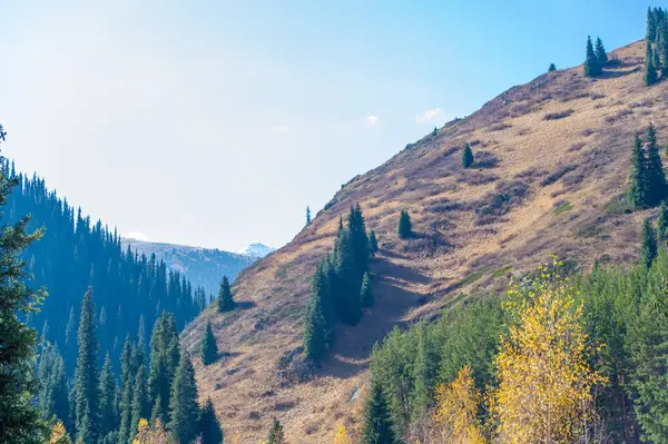 Tien Shan 'ın parlak sonbahar renklerinin tadını çıkar. Kendinizi doğanın orkestra cennetine daldırın. Çelişkili gölgelerin heyecanlı bir paleti.