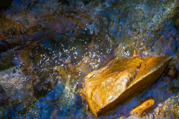 Kendini güzel derenin huzurlu atmosferine daldır. Kristal berrak suların ve yosun kaplı kayaların rahatlatıcı etkisini tecrübe edin. Stres atmak ve rahatlamak.