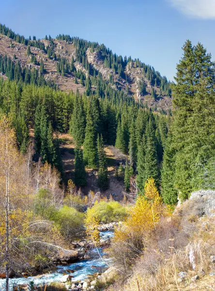 Tepeleri fethet ve sonbahar dağları arasındaki Tien Shan ladin ormanlarının el değmemiş güzelliğine dal! Doğa Kaşifleri Görkemli Dağlar