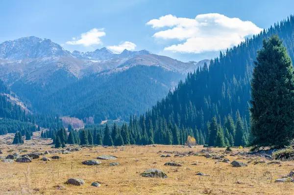 Kendini Tien Shan Dağlarının dingin güzelliğine daldır. Yeşillik içinde dolaş ve renkli çiçeklere hayran ol. Sonbaharın dinginliğini ve çekiciliğini hisset.