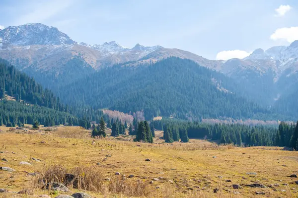 Kendini Tien Shan dağlarının dinginliğine bırak. Sonbahar yeşilliğinin ve canlı renklerin cazibesini hissedin. Bereketli yeşil çam ağaçlarının arasında sakin bir gezinti yap. Huzurun tadını çıkar.