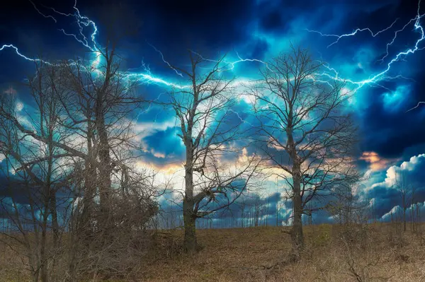 Karanlık ve şiddet bir araya geldiğinde, doğanın heyecan verici güçlerine tanık olun; Fırtınalı gökyüzü yaşamla çatırdıyor, nefes kesici bir manzarayla antik ağaçları aydınlatıyor. Doğayı Ortaya Çıkaran