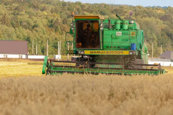 Arpa hasadının yaz fotoğrafı, Combine Hasat, 2019 06 Tukaevsky Bölgesi T ataristan Rusya hasat, harman ve sarma sürecini birleştiren mekanize bir yöntemdir.