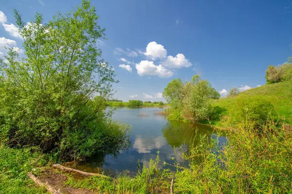 Bahar fotoğrafı, söğüt ağacı, parlak yeşillik, bulutlu mavi gökyüzü, harika bahar havası.