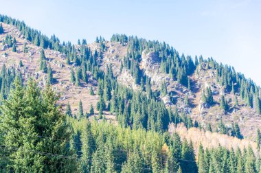 Doğa Orkestrası Senfonisi kendinizi canlı sonbahar renkleriyle dolu bir cennete daldırın. Tien Shan aralığı sonbaharın renkleriyle canlanıyor. Çelişkili paletten büyülen.