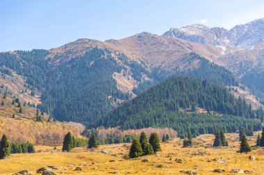 Tien Shan dağlarındaki sonbaharın güzelliğinin tadını çıkar. Yeşillik ve renkli çiçeklerin arasında huzurlu bir yürüyüşün tadını çıkar. Kendini bu dağ yürüyüşünde sükunete daldır..