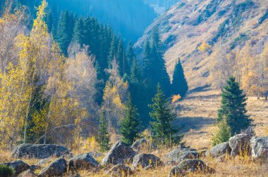 Yüksek dağlarla çevrili bu orman mevsimler değiştikçe yaprakları canlı renklerle parlarken sonbaharın özünü somutlaştırıyor. Doğanın kucağında kaybolun ve kucaklaşın
