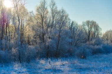 Karla kaplı bir tarlanın büyüsünü hissedin. Parlak mavi gökyüzünün rehberliğinde sonsuz maceralar keşfedin. Kendini doğanın kar tanelerinin büyüleyici kollarına bırak..