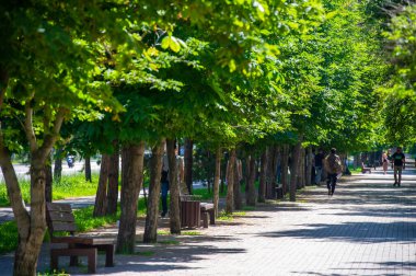 Doğayla yeniden bir araya gelin: Rahat banklar ve yemyeşil yemyeşil yemliklerin uyumlu bir kombinasyonu olan 20206 Kakzakhsyag Almaty parkının sakin atmosferine dalın.