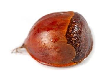 Kestanelerin basit zarafetini keşfet. İnanılmaz lezzet küçük bir fındıkta toplanmış. Temiz beyaz ambalaj kestanelerin güzelliğini gösteriyor..