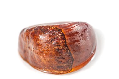 Altın tonlarda kestane ağacının detaylı makro fotoğrafçılığı. Temiz beyaz tuval arka plan doğanın karmaşık detaylarını vurgular. Doğanın güzelliğini yakınlaştırır.