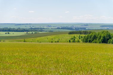 Yaz manzarası, biçilmiş tarlalar biçilmiş tarlalar, biçilmiş yoncalar.