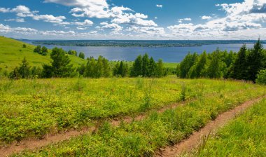 Yaz su çayırları, nehir taşkın ovaları, dağdan çekilmiş fotoğraflar. Nehrin kenarında yemyeşil çimenler, çam, huş ağacı, fındık ağacı yetişir. sıcak yaz günleri