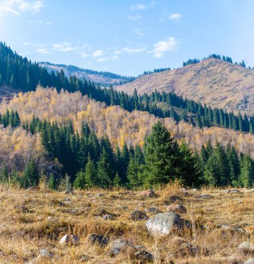 Tien Shan Dağları 'nın nefes kesici güzelliğini tecrübe edin. Kendinizi eski çam ve huş ağaçlarının sükunetine daldırın. Bu unutulmaz yolculukta doğanın ebedi gücünü keşfedin..