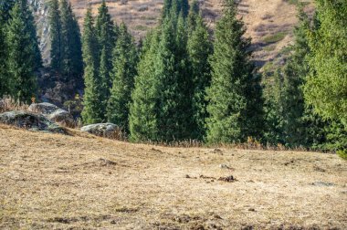 Sonbaharda Tien Shan dağlarının çarpıcı güzelliğini tecrübe edin. Kendinizi canlı yeşilliklere ve nefes kesici manzaraya daldırın. Yürüyüş, fotoğraf ve gözlem gibi doğa aktivitelerinin keyfini çıkarın.