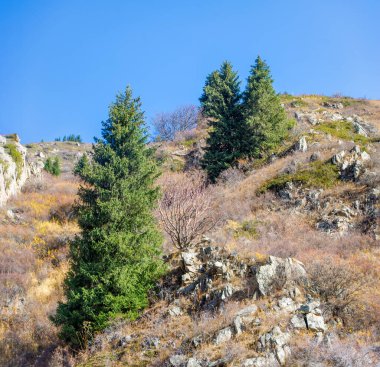 Sonbaharda Tien Shan 'ın nefes kesici güzelliğini tecrübe et. Kendinizi canlı yapraklara ve yeşil çam ağaçlarına daldırın. Günlük hayattan huzurlu ve huzurlu bir ayrılık keşfedin..