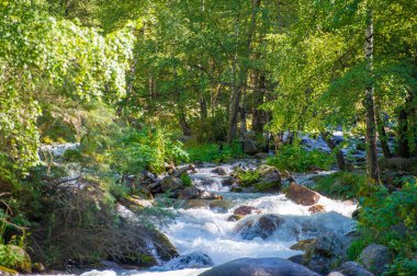 Doğal spa tedavilerinin gençleştirici gücünü tecrübe edin. Nefes kesici dağlar ve akan kayalarla çevrili kristal berrak sulara dalın. Su terapisinin rahatlatıcı faydalarının tadını çıkar.