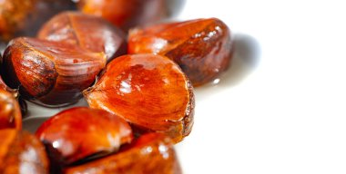 Zarif sunulan kestanelerimizle sonbaharın tadını çıkarın. Autumn Delights ile sıcak ve samimi bir atmosfer oluşturun. Sevdiklerimizle mevsimin kokusundan zevk almak için mükemmel..