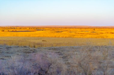 Kum tepelerinde sonbahar günbatımının büyüleyici güzelliğinin tadını çıkar. Kendini altın gökyüzünün büyülü atmosferine ve rüzgarın nazik fısıltısına daldır. Resimli manzaranın tadını çıkar.