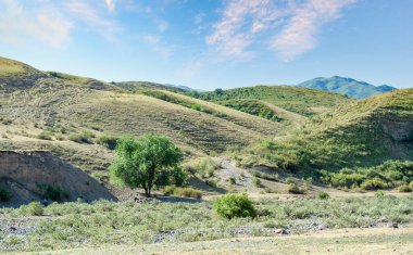 Dağ eteklerinin ve görkemli dağların güzelliğini keşfedin. Yaz aylarında açık hava aktivitelerinin tadını çıkarın. Nefes kesici manzaranın ve doğal manzaranın tadını çıkar..
