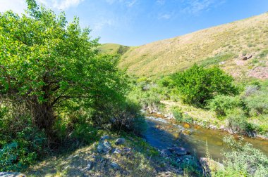 Doğanın çarpıcı manzarasının tadını çıkar. Nehrin kayalık kanyonda nasıl dolaştığına bakın. Kendini dağların huzurlu güzelliğine daldır..