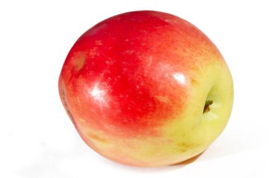 Kandil elma çeşidi, sulu ve aromatik tadı ile bilinir. Mükemmel bir vitamin ve besin kaynağı. Bahçecilik ve hasat için ideal..