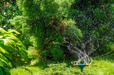 Bahçedeki bitkilerin verimli ve kusursuz sulanmasını sağlar. Ayarlanabilir sprey desenli bahçenin geniş bir alanını kurup kullanması kolay.