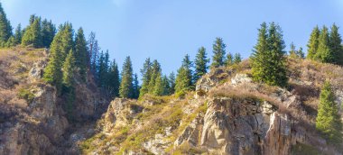Nefes kesici Tien Shan 'ı keşfedin. Antik çam ve huş ağaçlarının sükunetini hisset. Doğanın kalıcı gücünü dağların kalbinde hisset..