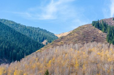 Kendini Tien Shan dağlarının güzelliğine bırak. Çam ağaçlarının ve huş ağaçlarının dinginliğini ve huzurunu hisset. Kayalar arasında heyecan verici bir maceraya atılın..