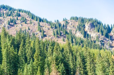 Tien Shan Sıradağları 'nda sonbaharın canlı renklerini tecrübe edin. Kendinizi doğanın orkestra cennetine daldırın. Sonbahar gölgelerinin büyüleyici ve zıt bir paleti.